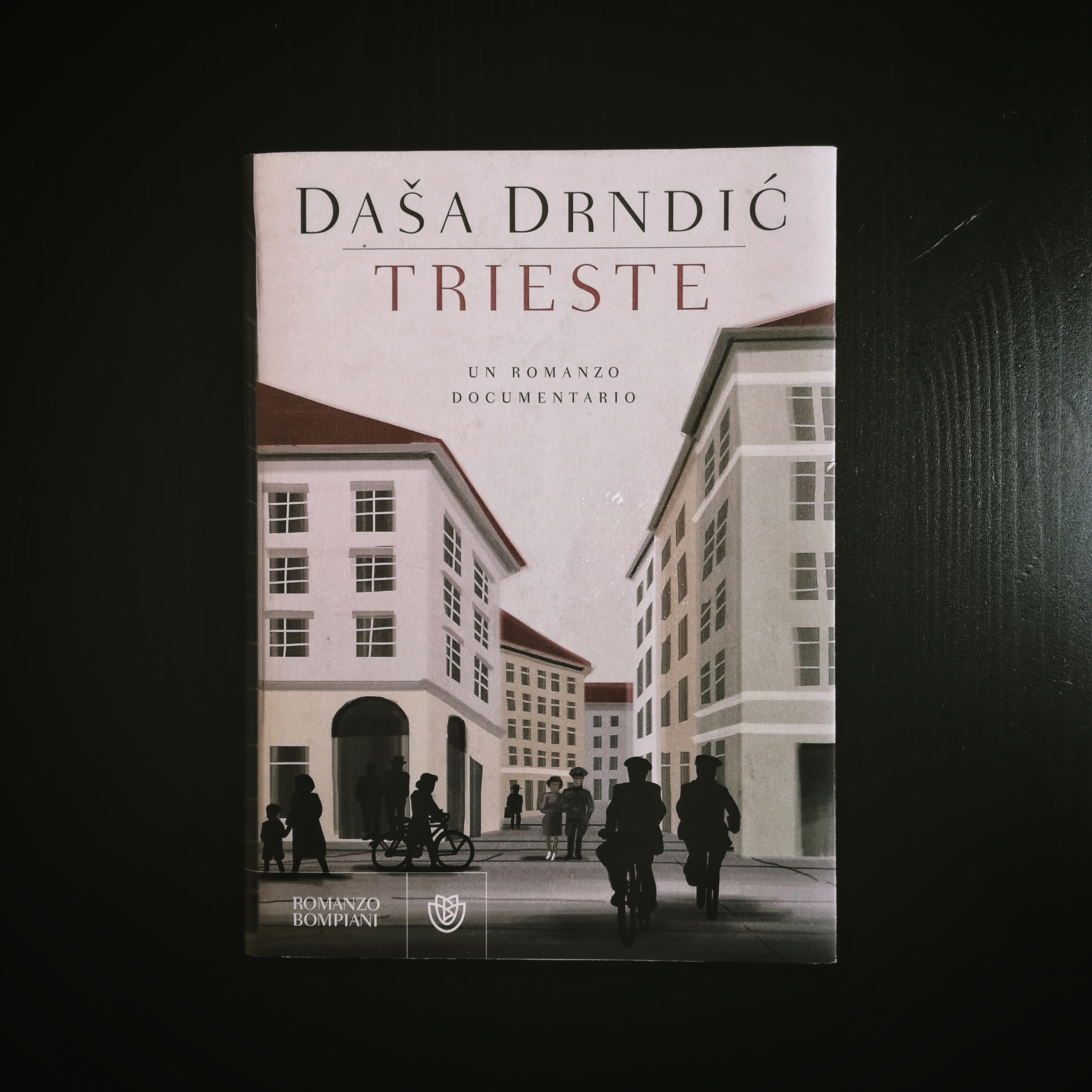trieste dasa drndic recensione