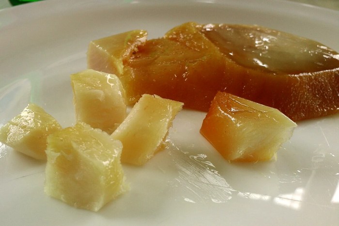 hákarl squalo fermentato emanuele secco food writer copywriter scrittore 2