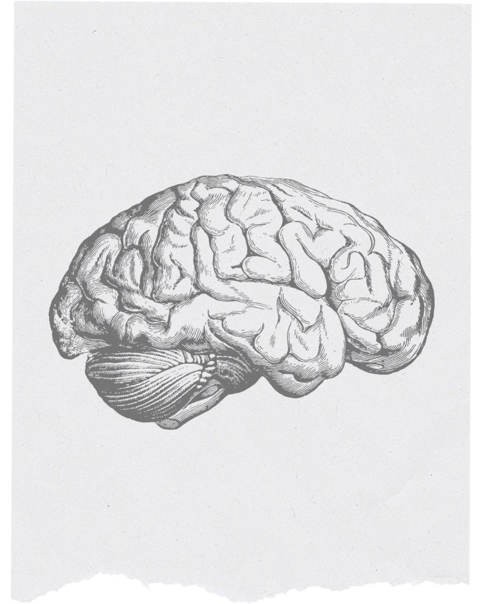 testi semplici servizi emanuele secco scrittore copywriter food writer freelance verona